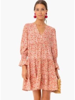 Pomander Place Tuckernuck Scarlet Ditsy Floral
Kenzo Dress size xxxl 3X